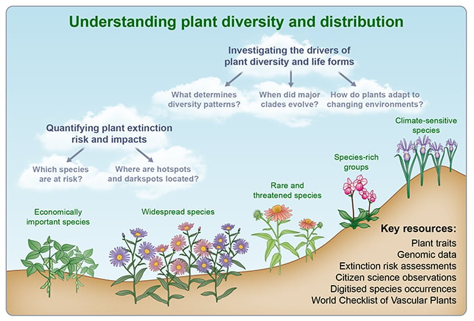 NPH: Global Plant Diversity And Distribution Special Collection